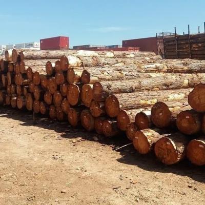 سجل PINEWOOD